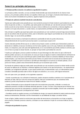 Tema-6-Los-principios-del-proceso.pdf