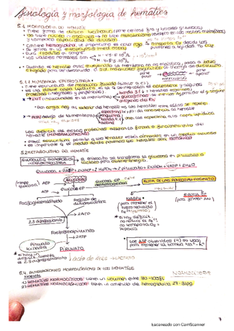 FISIOLOGIA-Y-MORFOLOGIA-DE-LOS-HEMATIES.pdf