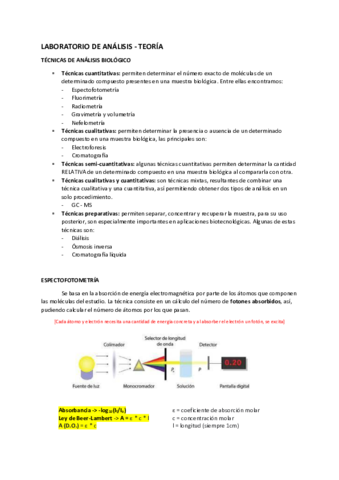 Lab-I-Analisis-teoria.pdf