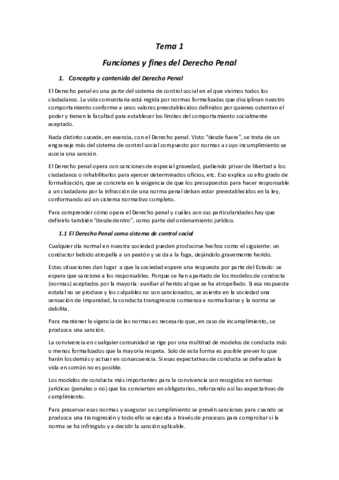 Tema-1-Derecho-Penal.pdf