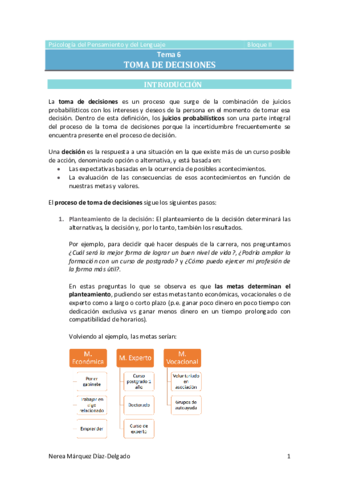 Tema-6-Toma-de-decisiones.pdf