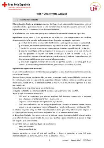 T2-Soporte.pdf