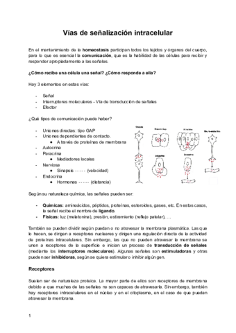 Vias-de-senalizacion-intracelular.pdf