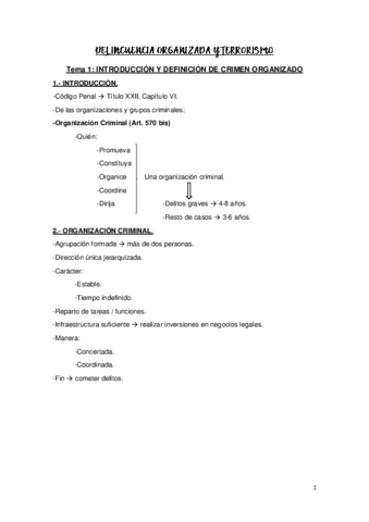 Resumen-1o-Parcial-Terrorismo-.pdf
