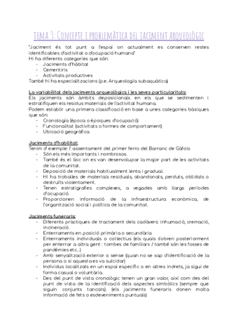 Tema-3-Concepte-i-problematica-del-jaciment-arqueologic-.pdf