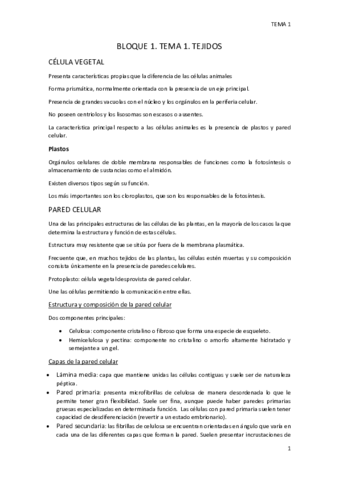 BLOQUE-1.pdf