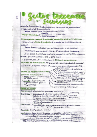 SECTOR-TERCEARIO-O-SERVICIOS.pdf
