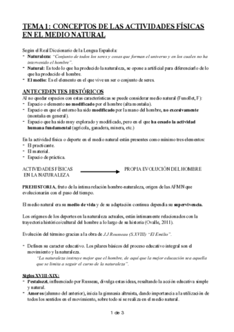 TEMA-1.pdf