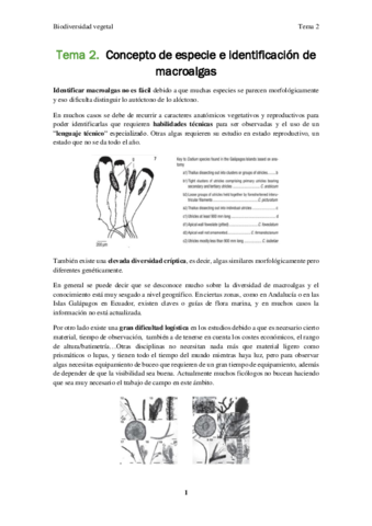 Biodiversidad-vegetal-Tema-2.pdf