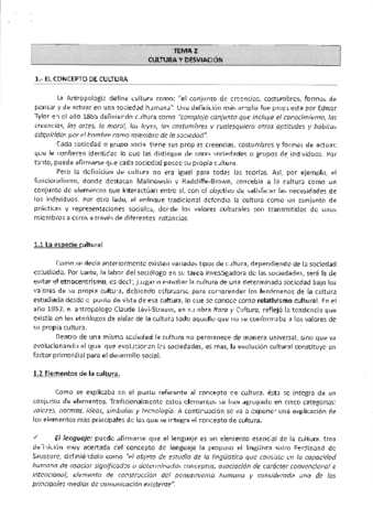 TEMA-2.pdf