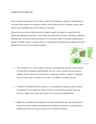 TEJIDOS-DE-EXCRECION.pdf
