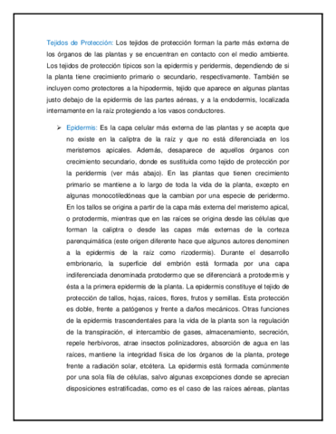 Tejidos-de-Proteccion.pdf