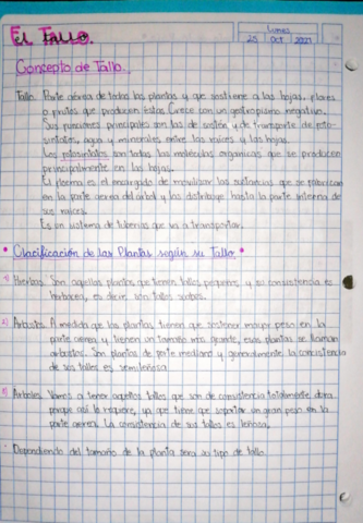 Botanica-el-tallo.pdf