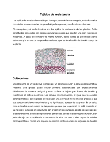 Tejidos-de-resistencia-2.pdf