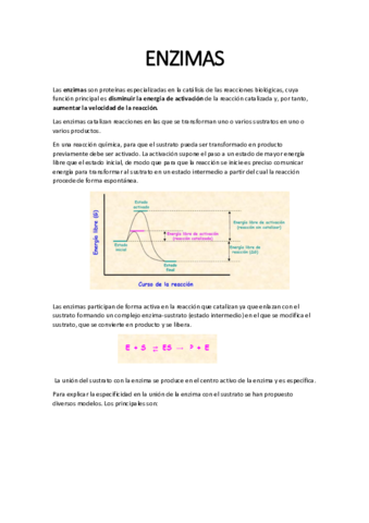 1Estrucutura de las proteínas completado.pdf