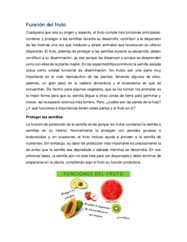 Funcion-del-fruto.pdf