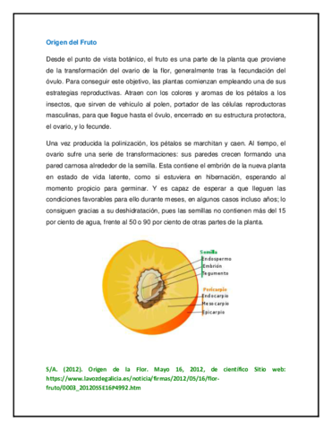 Origen-y-Estructura-del-Fruto.pdf