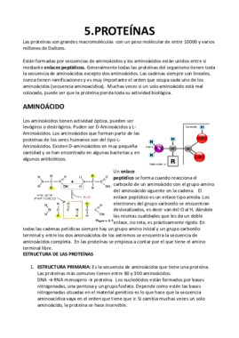 TEMA 1.pdf