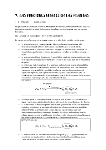 t7-y-t8-byg.pdf