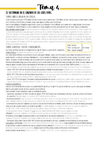 Apuntes-tema-4.pdf
