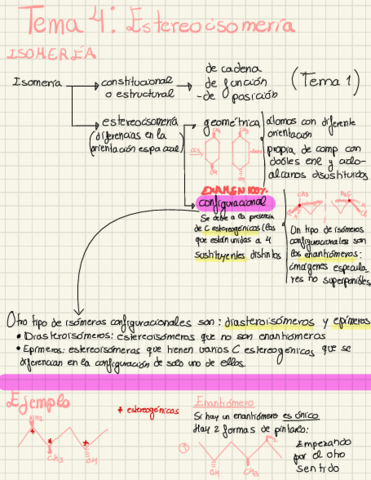 Apuntes-Limpio-Academia-3organized.pdf