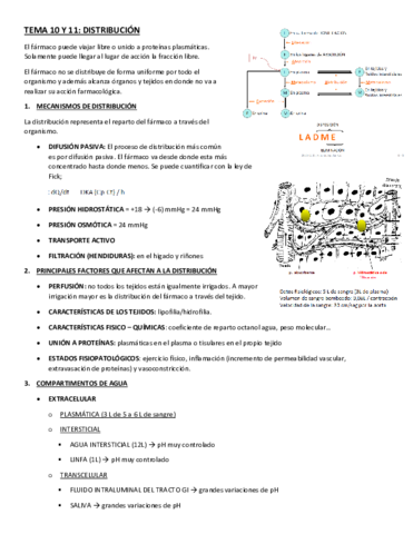 TEMA-10-Y-11.pdf