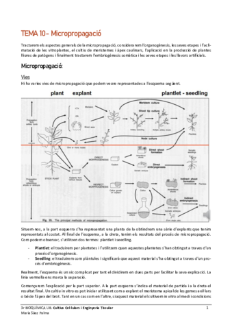 Cultiu-Vegetal-Tema-10.pdf