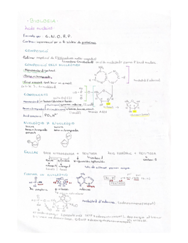 Acids-nucleics.pdf