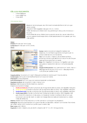Cellula-eucariota-i-microscopis.pdf