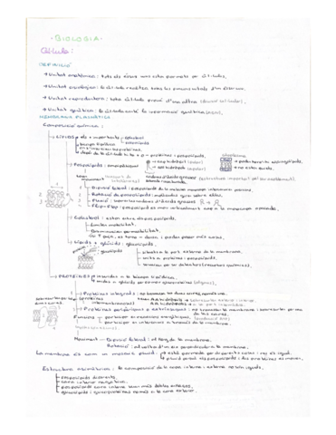 Cellula-i-Paret-vegetal.pdf
