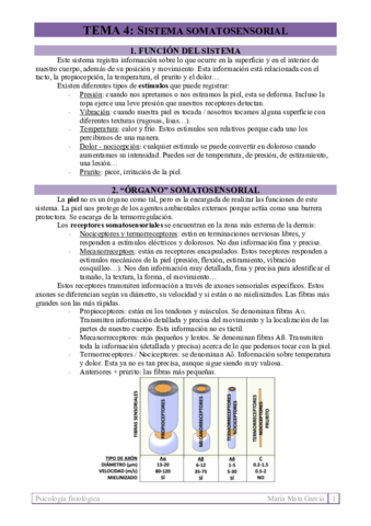 TEMA-4.pdf