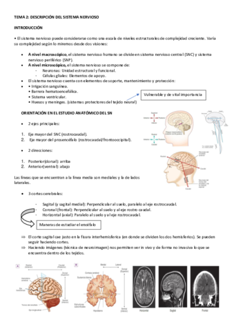 apuntes-psicobiologia-II-primer-parcial.pdf