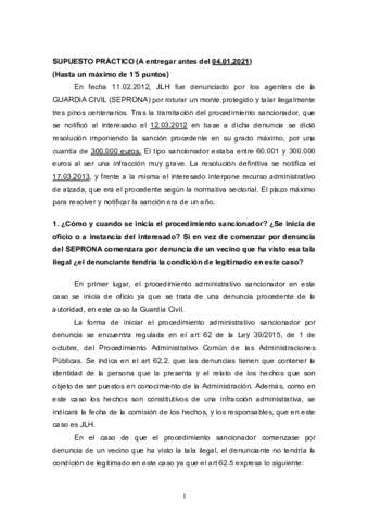 PRACTICA-.pdf