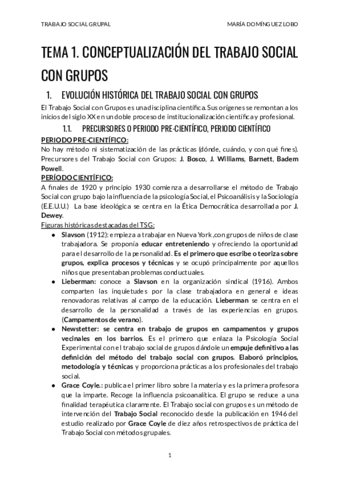 TEMA-1-TSG.pdf