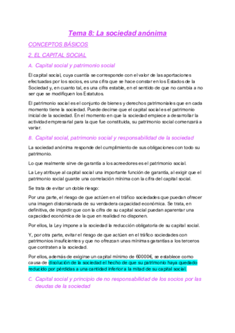 Tema-8-La-Sociedad-Anonima.pdf