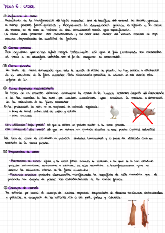 Apuntes-Tema-6-Bromatologia.pdf