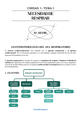 TEMA-1-APA.pdf