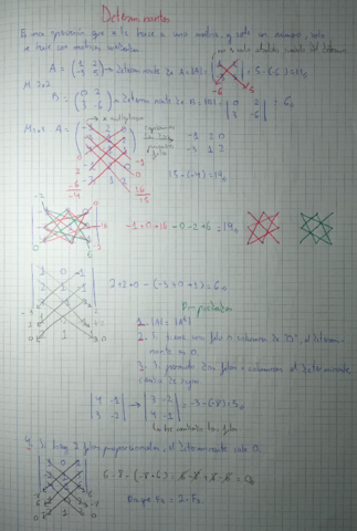 Determinantes.pdf