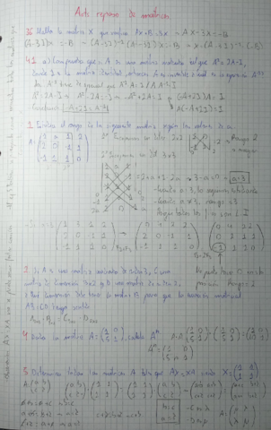 Ejercicios-de-repaso-de-matrices-y-determinantes.pdf