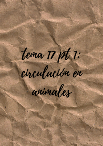 tema-17-pt-1-circulacion-en-animales.pdf