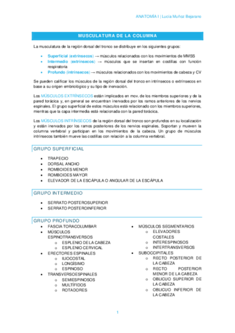 T2-3MUSCULATURA-DE-LA-COLUMNA.pdf