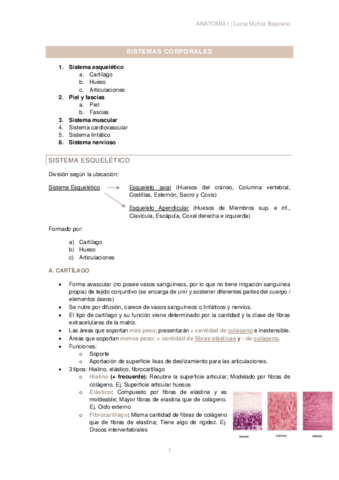 T1-SISTEMAS-CORPORALES.pdf