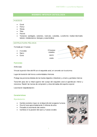 T5-1MIEMBRO-INFERIOR-OSTEOLOGIA.pdf