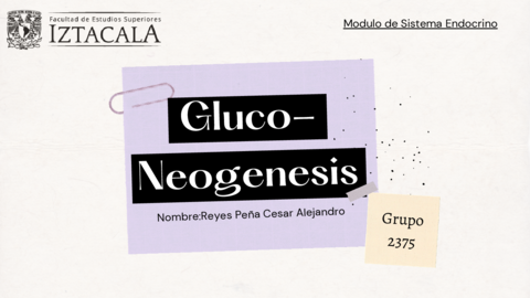 Gluconeogenesis-Reyes-Pena-2375.pdf