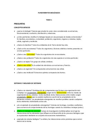 resumen-FB-.pdf
