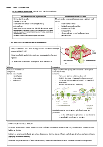 TEMA-2-FISIOLOGIA-CELULAR.pdf