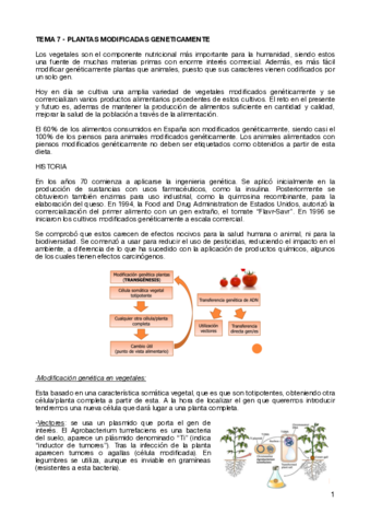 TEMA-7-PLANTAS-MODIFICADAS-GENETICAMENTE.pdf