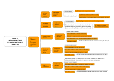Miniatura del documento TEMA 25 LAS OBLIGACIONES EXTRACONTRACTUALES (PARTE III).pdf