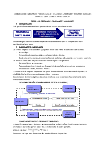 TEMA-1-FEC.pdf