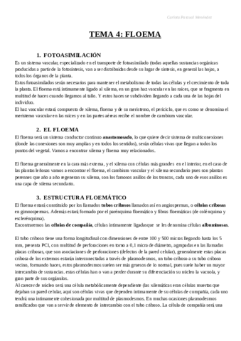 Resumen-Tema-4.pdf